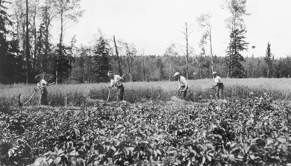 Farming Sioux Lookout Res School