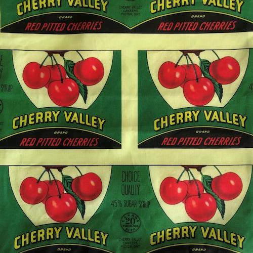 Cherry Valley Canners Cushion Cover